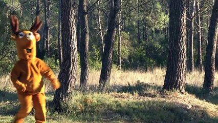 Rémi: Η εκδίκηση του ταράνδου
