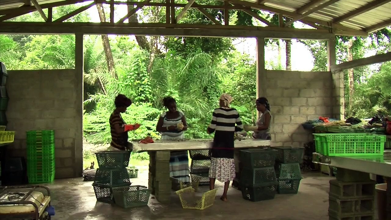 Des huîtres "made in" Gabon pour Noël