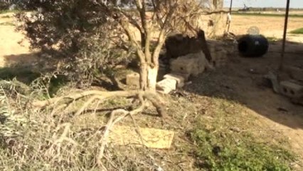 İsrail Ordusunun Açtığı Ateşte Kassam Tugayları Mensubu Vuruldu