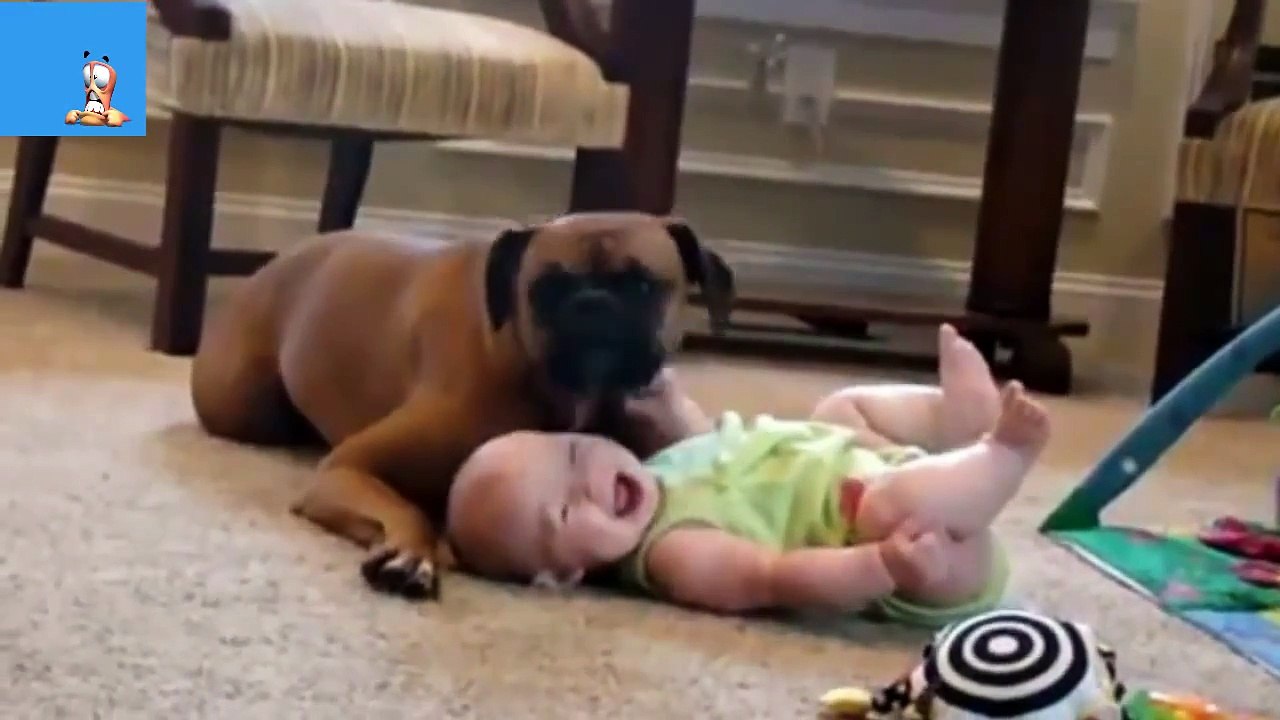 baby and dog love........