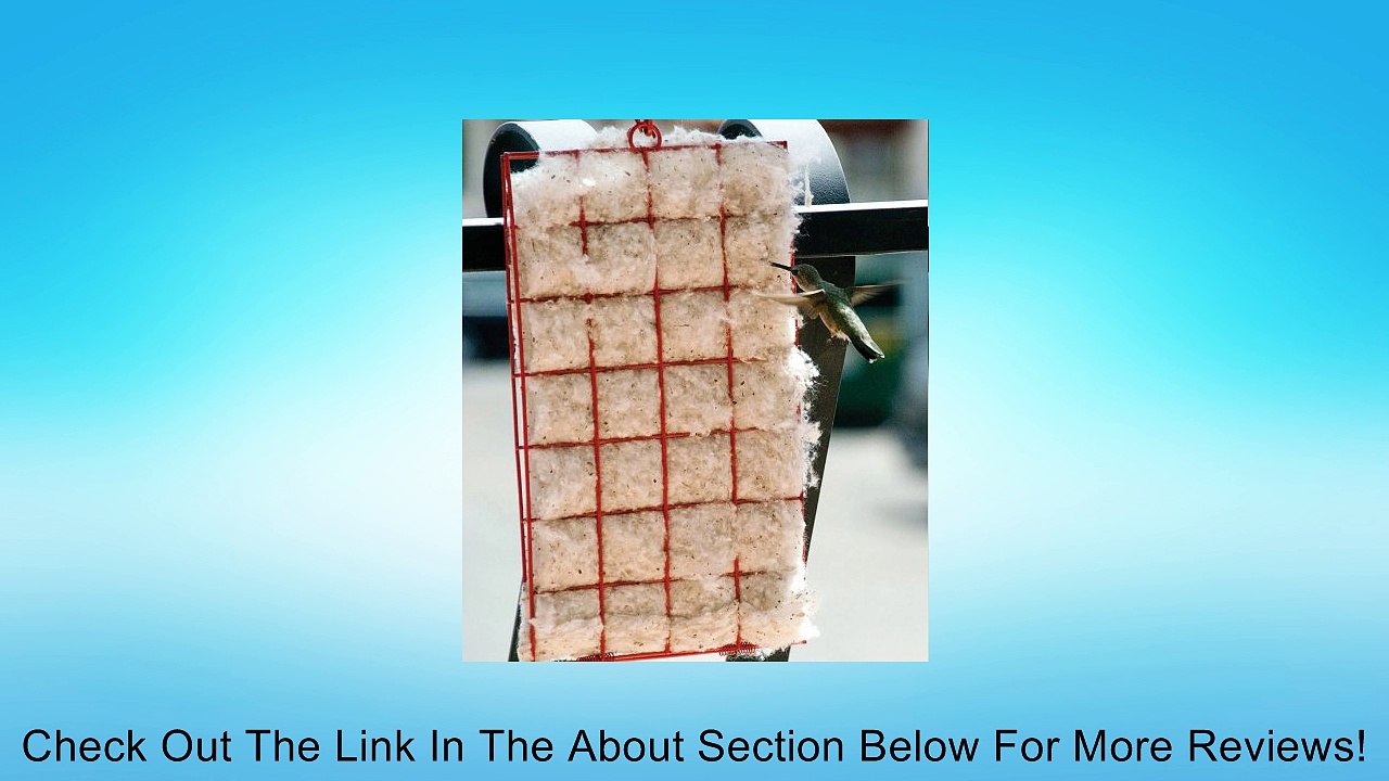 Songbird Essentials SE7021 Hummer Helper Cage and Nesting Review