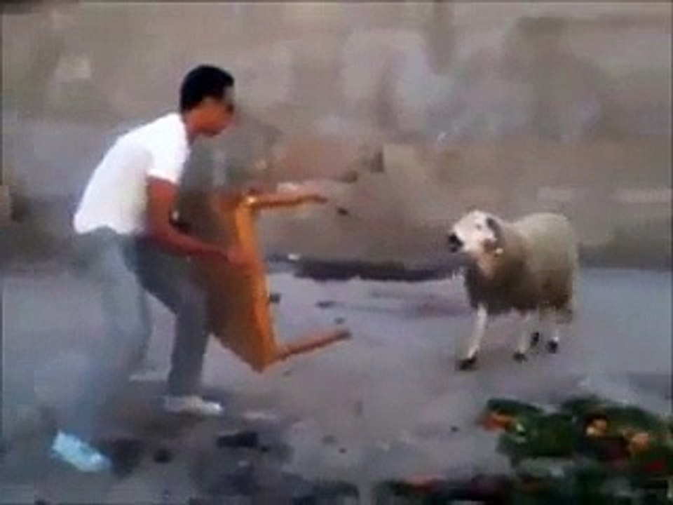 Maza he maza- Video Dailymotion