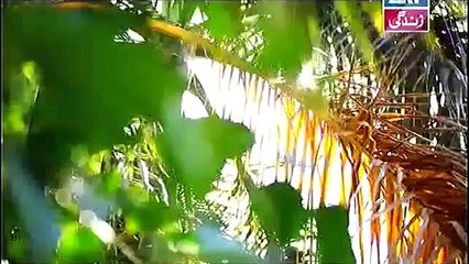 Rishtey Episode 145 - 24 December 2014 - ARY Digital Full New Episode