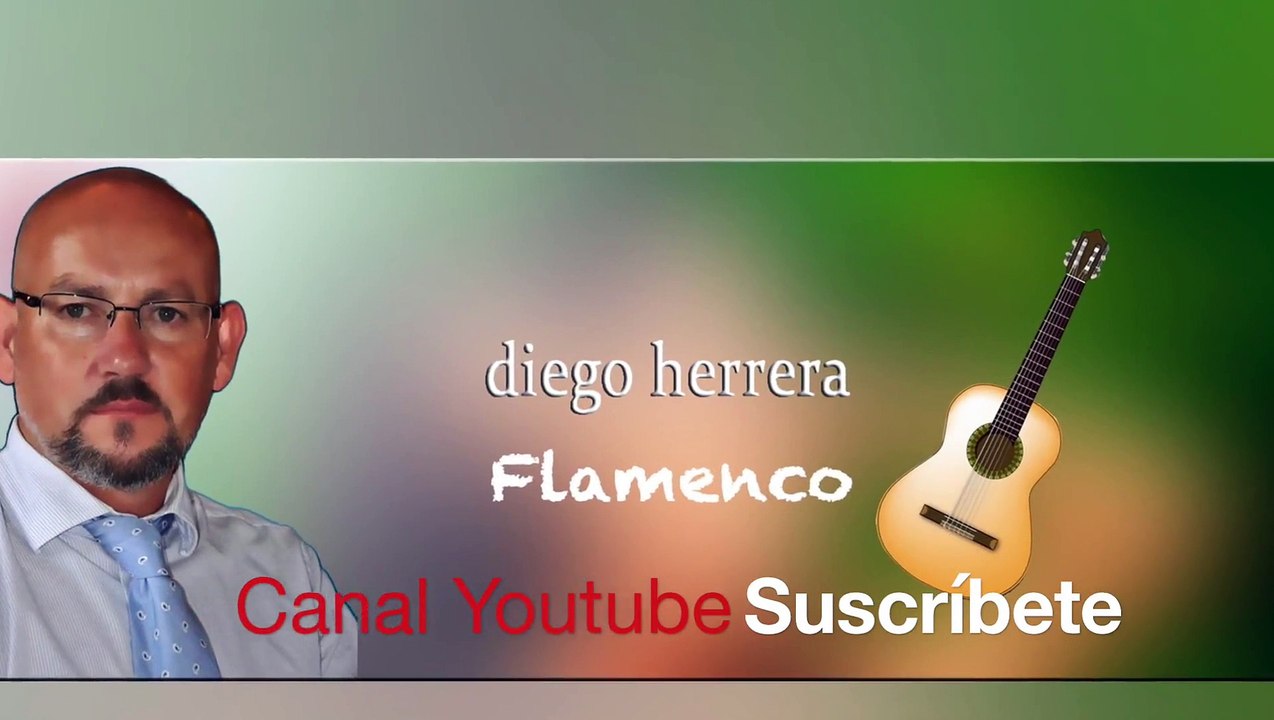 Marina García Herrera - La nueva taberna delWashisnaiフラメンコ (1080p)