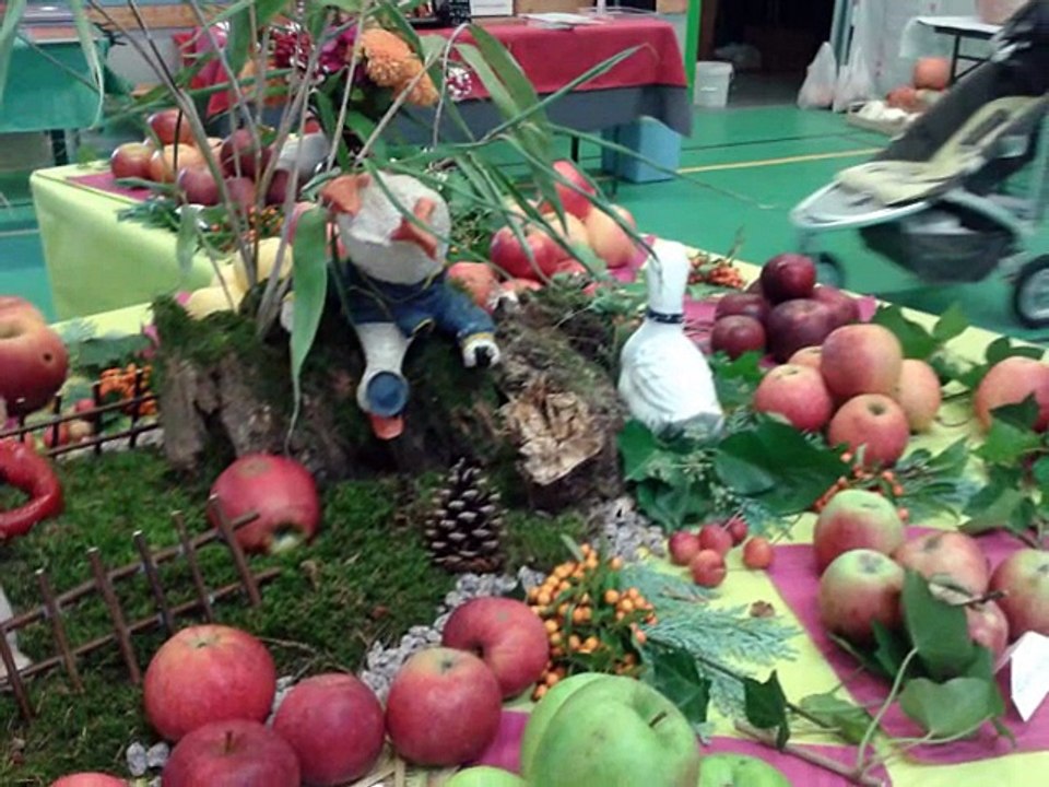 Fête de la pomme à hochfelden 2014