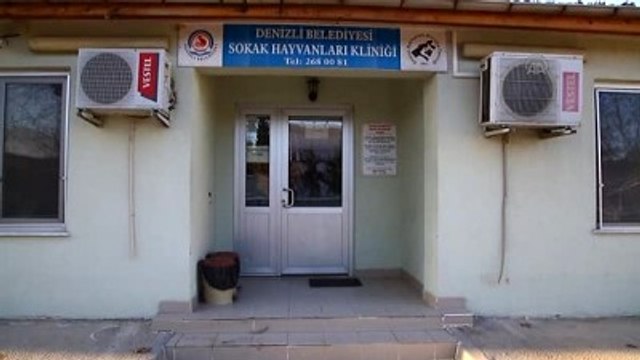 Yırtıcı Kuşlara Egzersiz