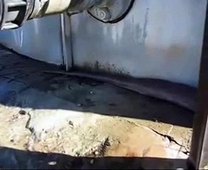 Hear the surprising voice of snake by maximizing volume