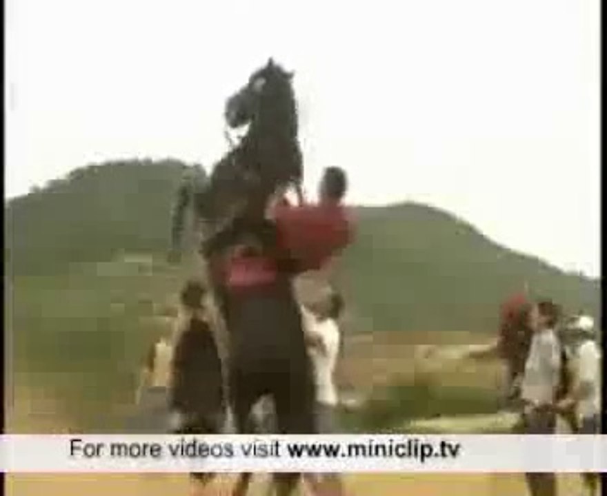 King Horses