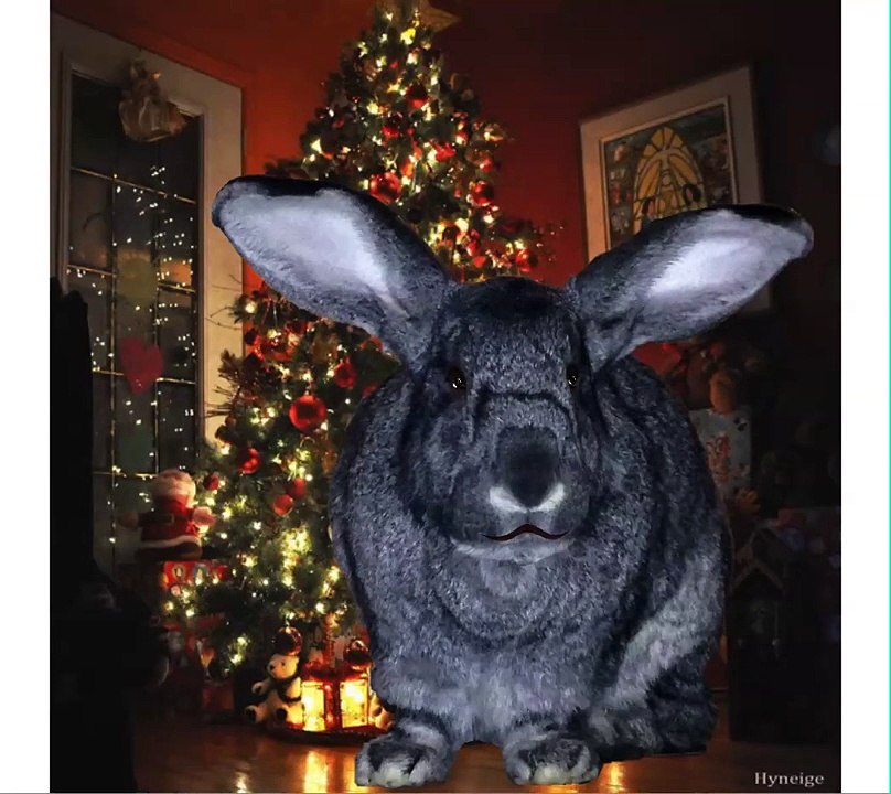 Rockin Around the Christmas Tree