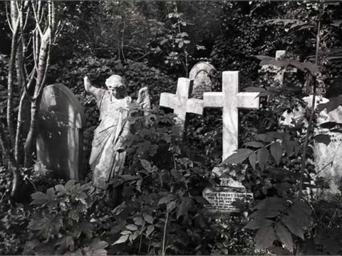 The Tremor Sense - B1/ Pray For Heaven