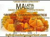 Diced Dried Apricots Manufacturing Company