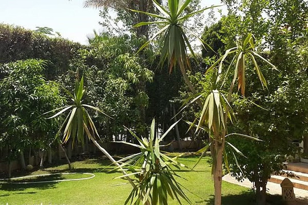 فيلا للبيع في كمبوند رويال هيلز   مدينة 6 اكتوبر