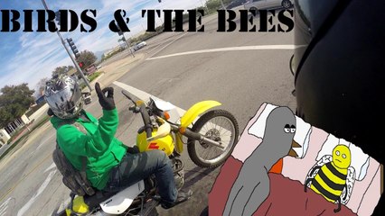 The Birds & The Bees Talk | By: bakerXderek & Arson Rides