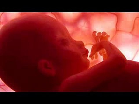 Las consecuencias nefastas del aborto