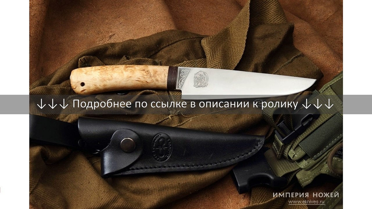 Златоуст АиР - Барибал Береза