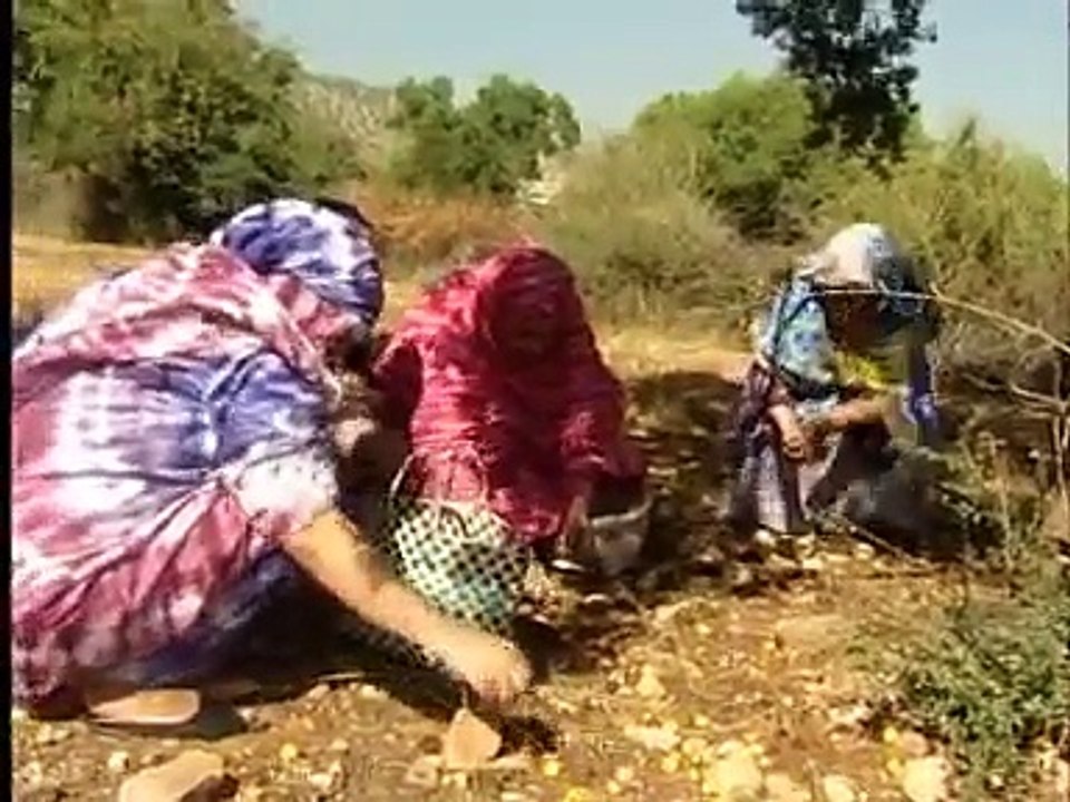 Salh Elbacha 2011 P 2