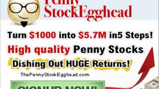 Penny Stock Egghead Picks