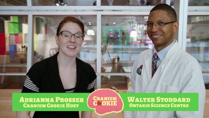 The Amazing Avro Arrow! | Cranium Cookie S1E7