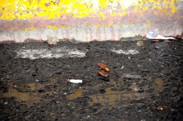 Mafya Babasının Kardeşine Organize Tuzak