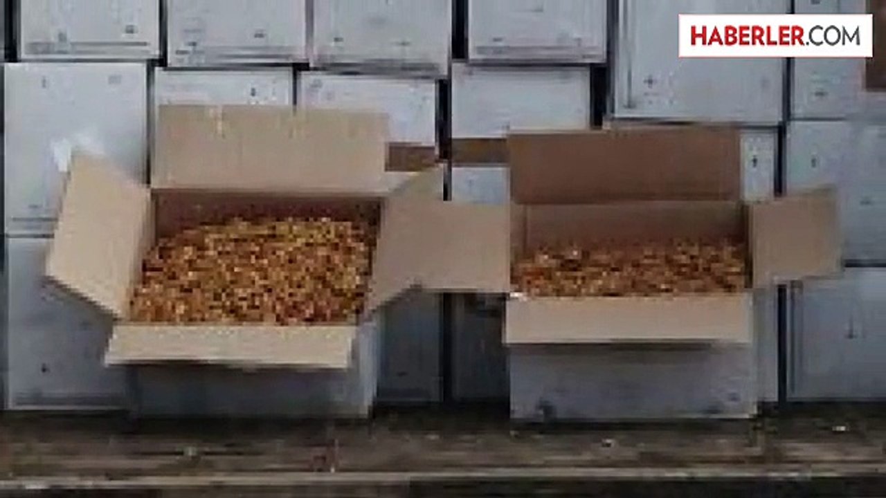 Öylesine Aranan TIR'ın İçinden Servet Çıktı