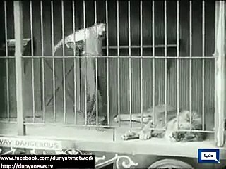 Charlie Chaplin 37th death anniversary today.