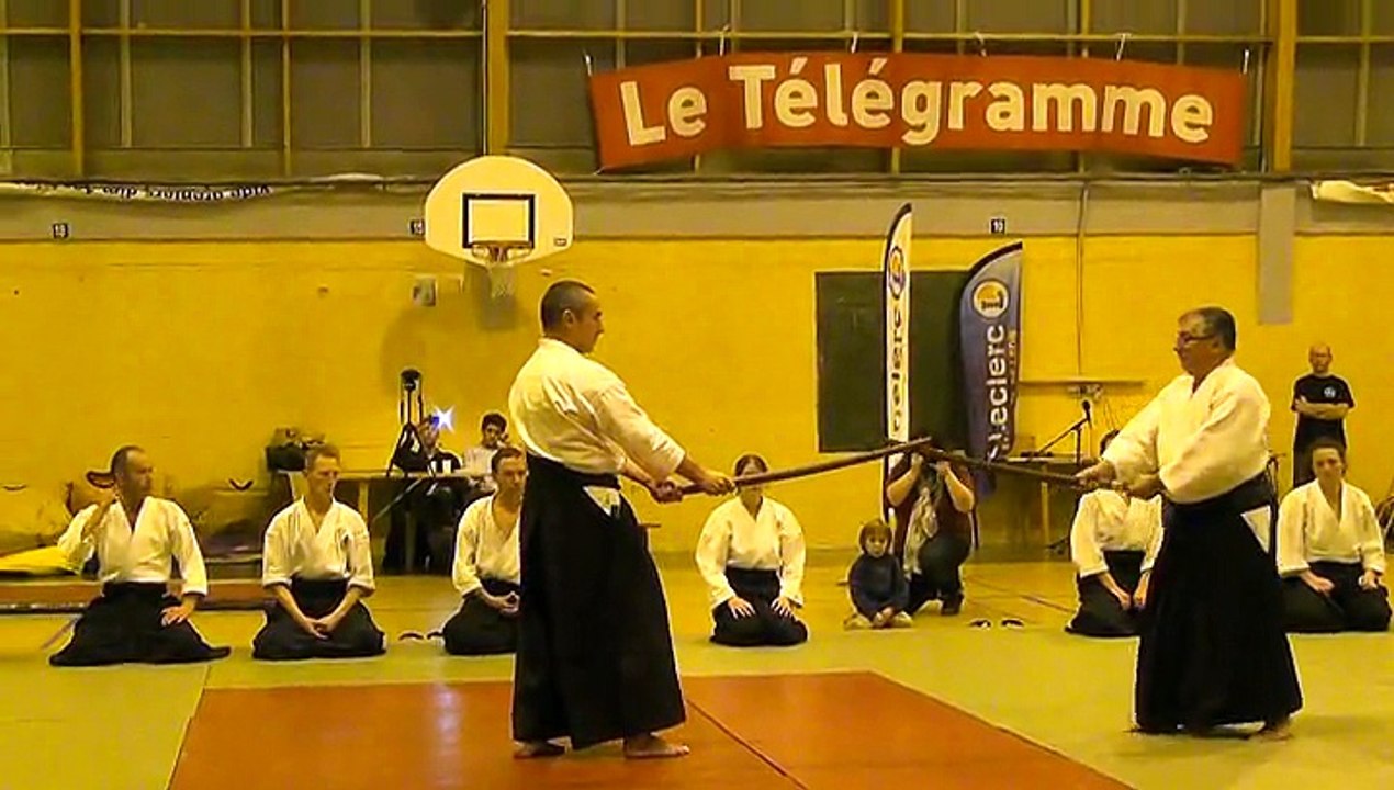 Festival des arts martiaux 2014