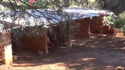 Kaş 'Akdeniz Kangalı' Yetiştiriyor