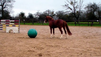 TITI et son cadeau de NOEL 2014 suite...