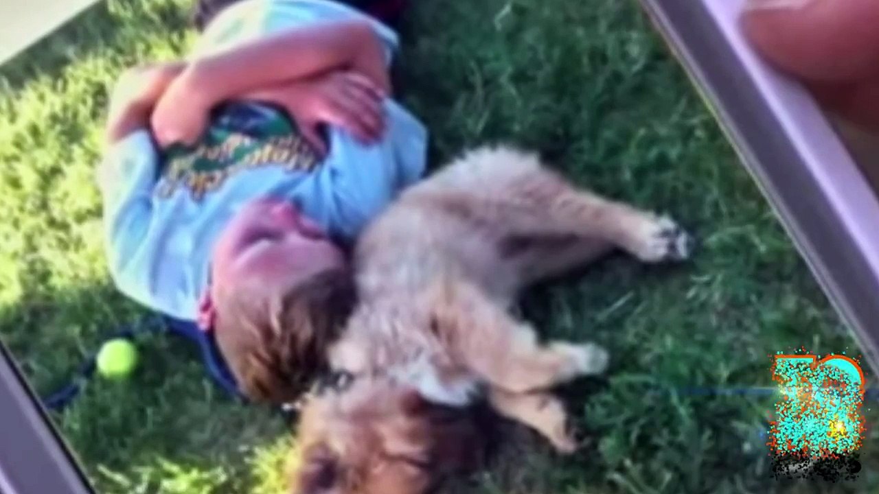 Man shoots neighbor’s dog - Otis McCulley guns down cute little puppy.