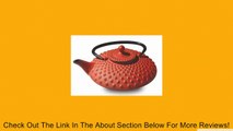 Old Dutch Old Dutch Amity Red 26 oz. Cast Iron Teapot Review