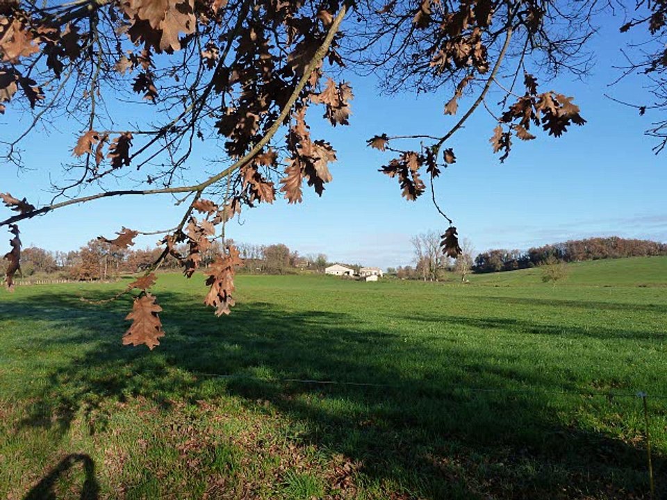 ENVIRONS LAUZUN DEC 20141