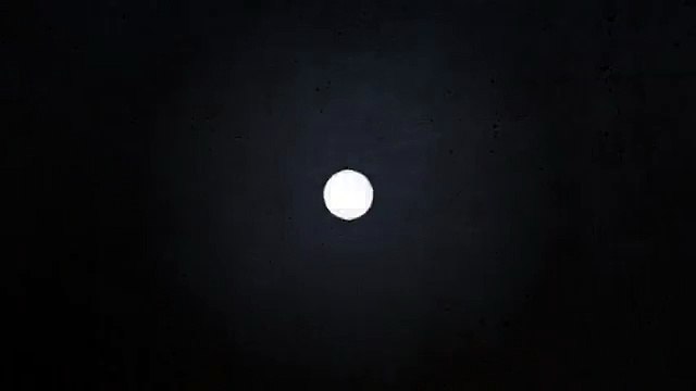 Business jackets for work or leisure & Business Backpacks : School Backpacks