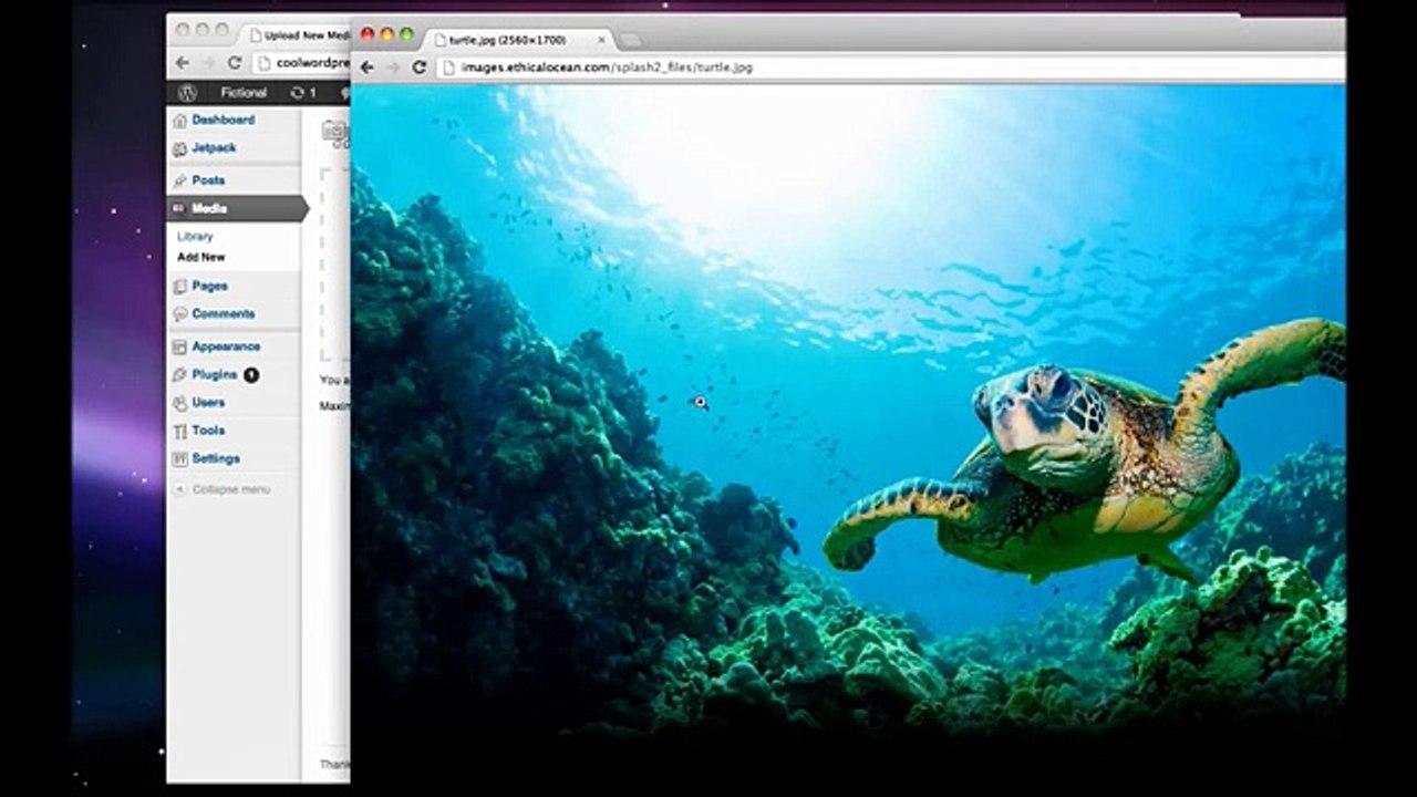 Cómo crear un sitio web con Wordpress - 2013