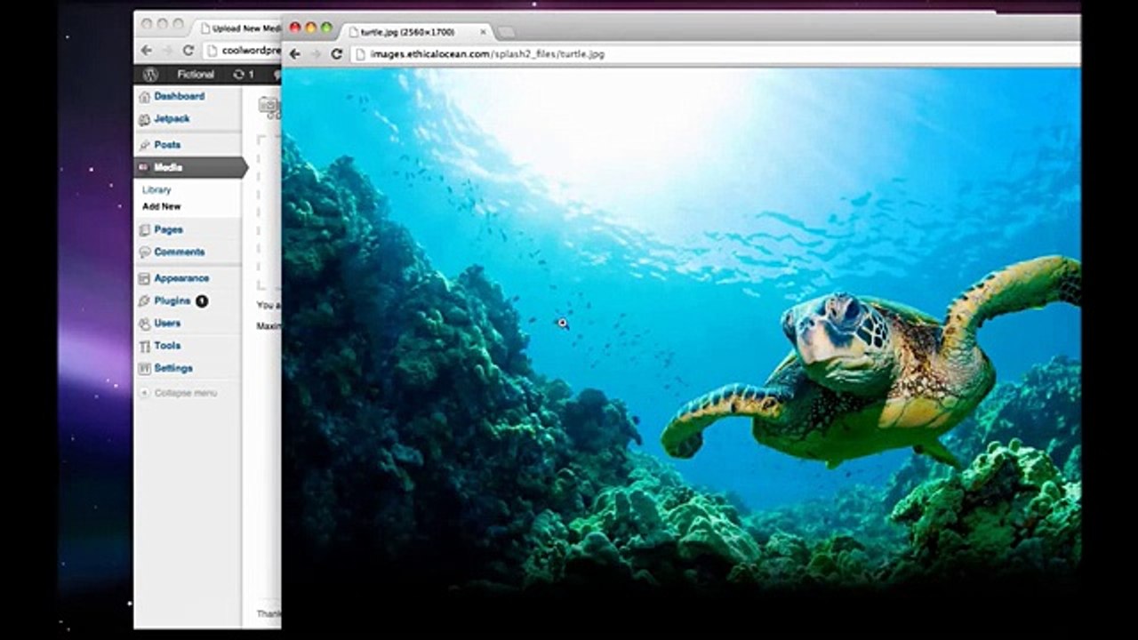 Cómo crear un sitio web con Wordpress - 2013-1