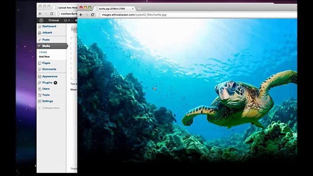 Cómo crear un sitio web con Wordpress - 2013-1