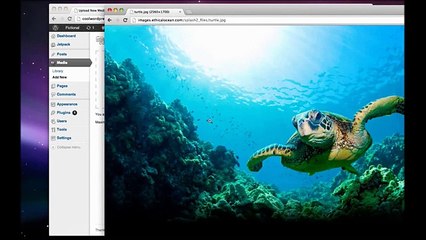 Cómo crear un sitio web con Wordpress - 2013-2