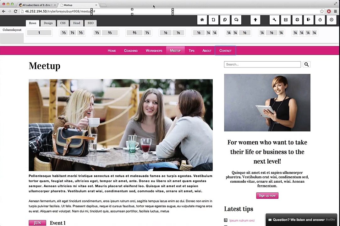 Embed MailChimp form on WordPress website
