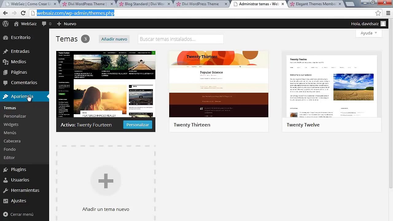 Como Crear Una Pagina Web Con Wordpress y Elegant Themes Divi 2014