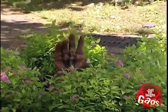 Funny Uploaded by Adv. Hidayat khan Timergara khazana Pakistan