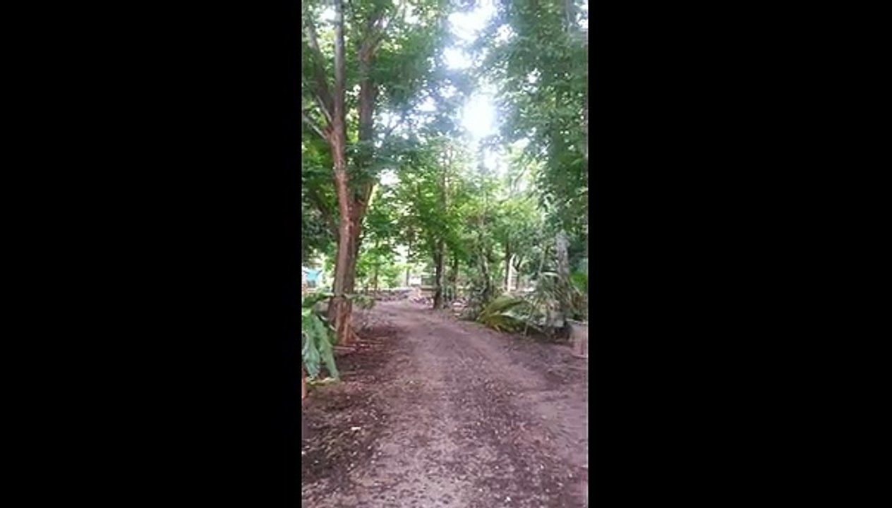 บ้านสวนสมุทรสงครามนิ