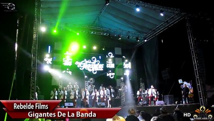 Gigantes De La Banda " PRESENTACION " ( En Vivo Totolapan Mor 2014 )