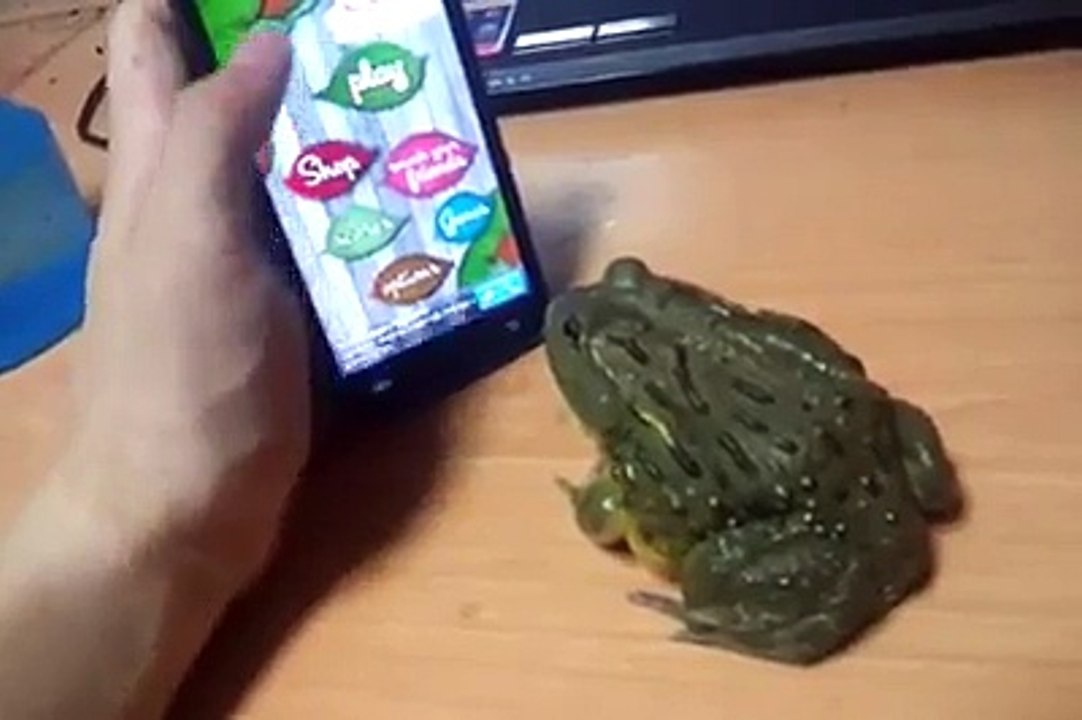 Ants in Mobile .....!!!