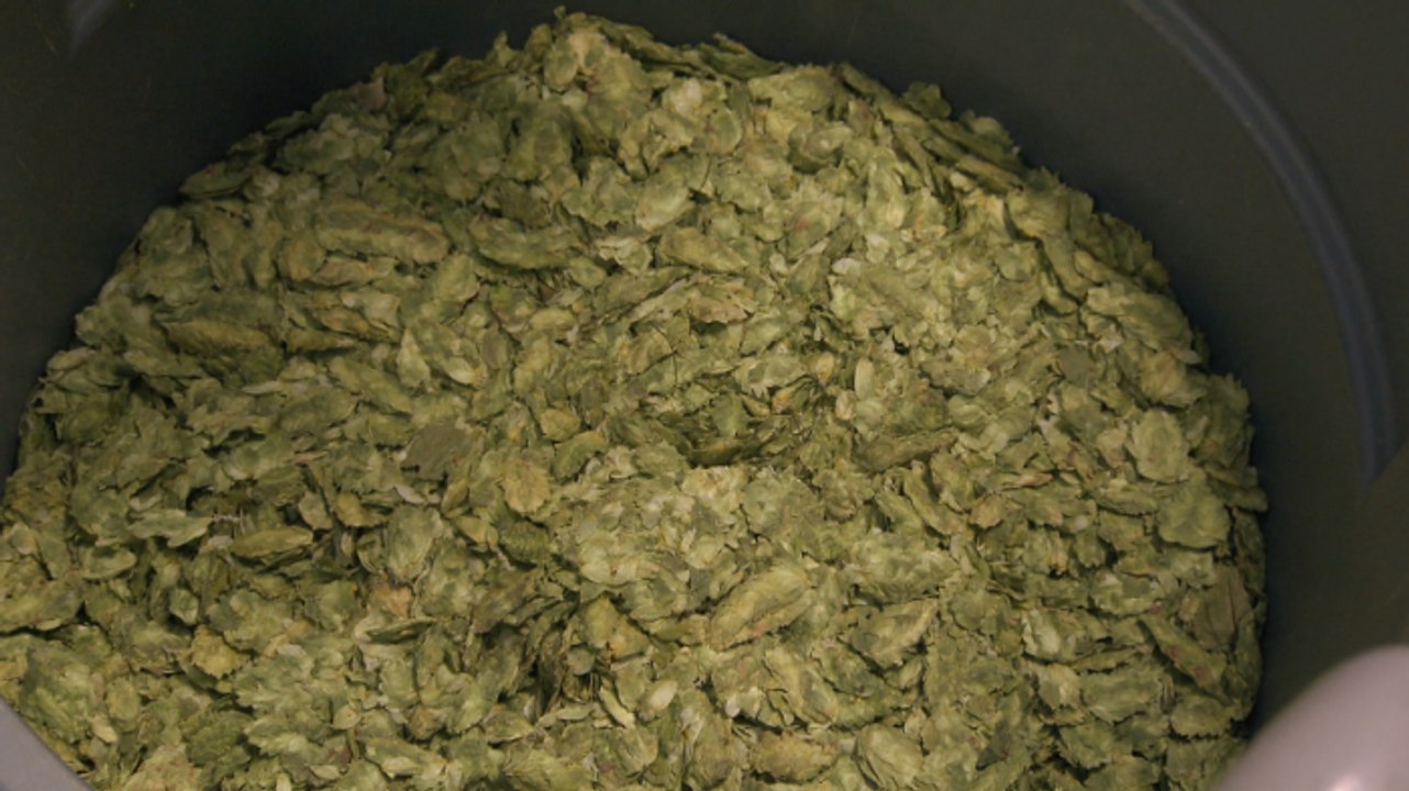 Late Addition Hops Brew