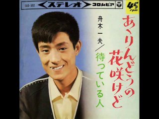 あゝりんどうの花咲けど・・舟木一夫