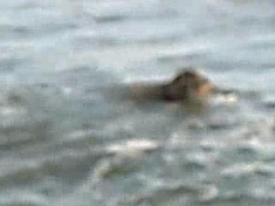 Vita a l'eau fév 07