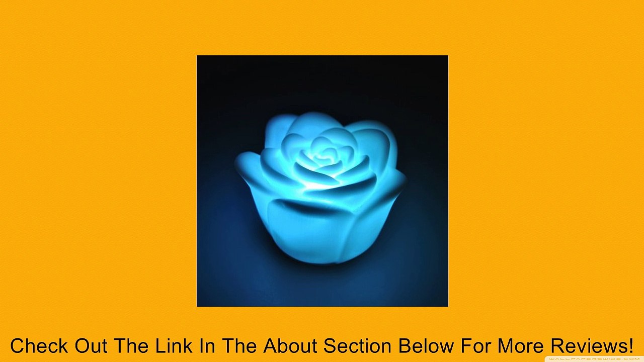 BestDealUSA 7 Color Romantic Changing LED Rose Flower Candle Night Light Review