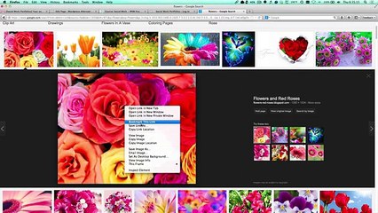 Wordpress 3.6 Complete Portfolio Tutorial - Basic   Extensive