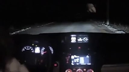 Dog hit by a car -  Watch what happens next