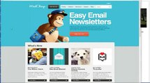 WordPress Mailchimp Video Tutorial