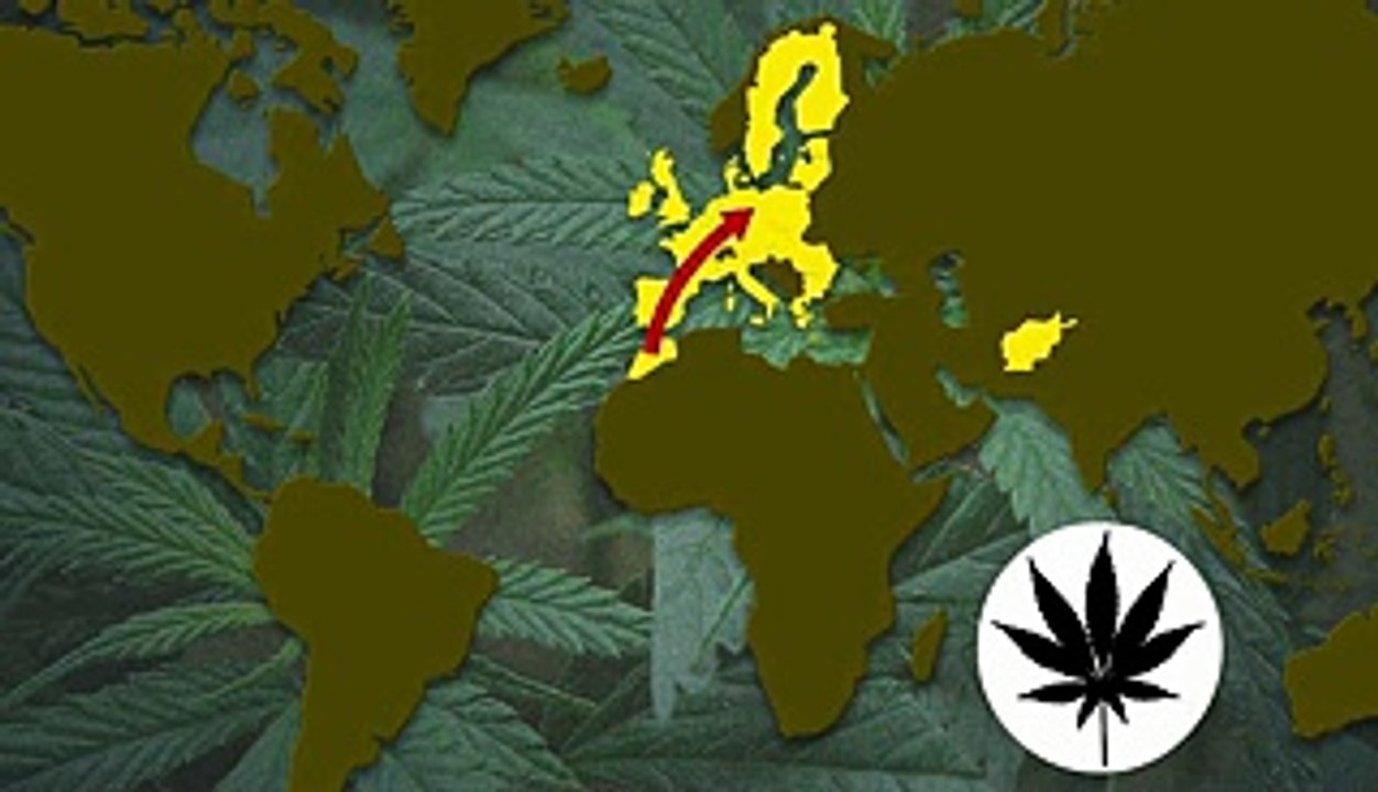 Le trafic mondial de la drogue - Maroc - Vidéo Dailymotion
